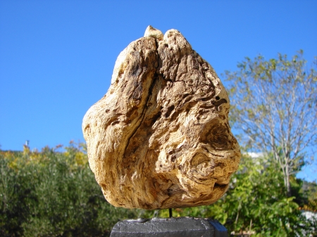 " The Loner " Driftwood & stone - Αλίκτυπο ξύλο & πέτρα 30 cm.